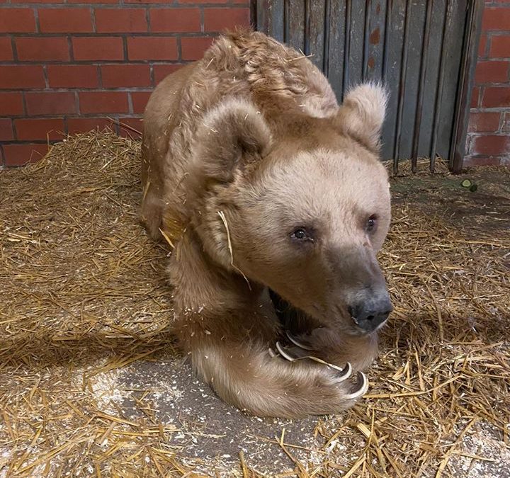 Einsatz im Tierpark Gotha
