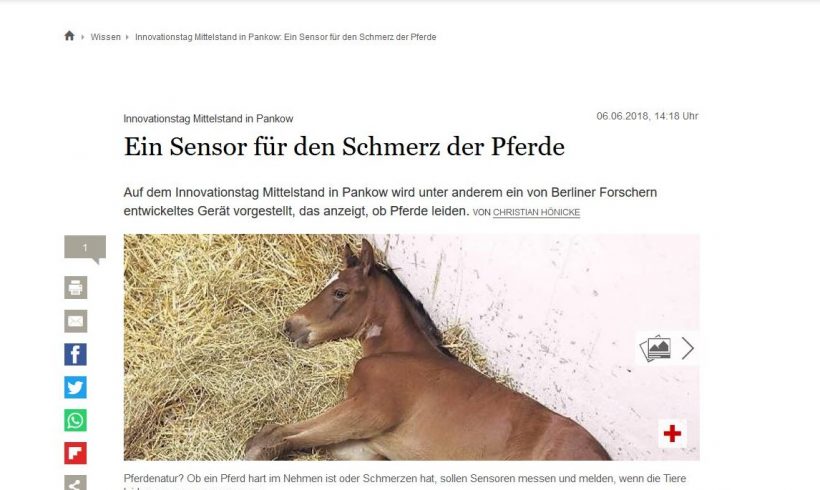 Tagesspiegel: „Ein Sensor für den Schmerz der Tiere“